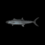 Burnt Mackerel