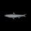 Burnt Sardine